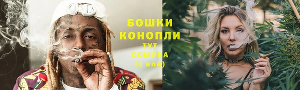 каннабис Аркадак