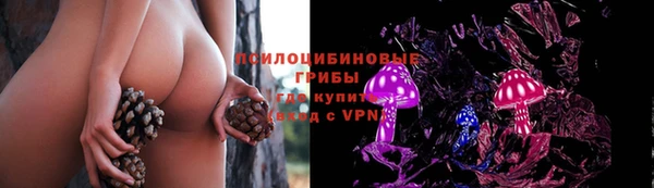спайс Армянск