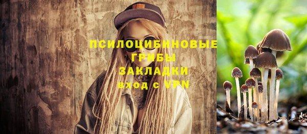 спайс Михайловск